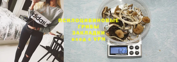 ГАЛЛЮЦИНОГЕННЫЕ ГРИБЫ Алексин