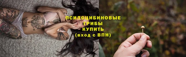 стафф Алзамай