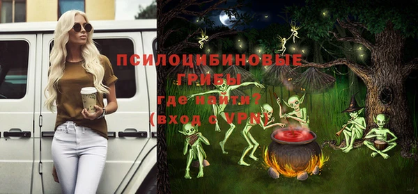 стафф Алзамай
